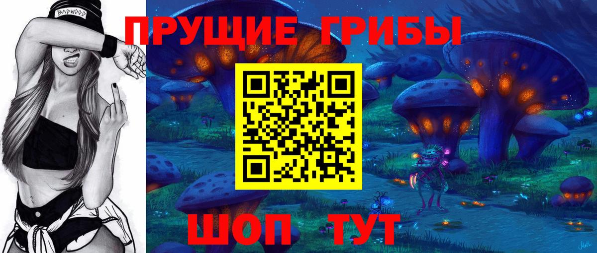 Псилоцибиновые грибы Psilocybine cubensis  Вход с VPN  Хасавюрт  Псилоцибиновые грибы GOLDEN TEACHER 